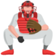 Catcher's Gear